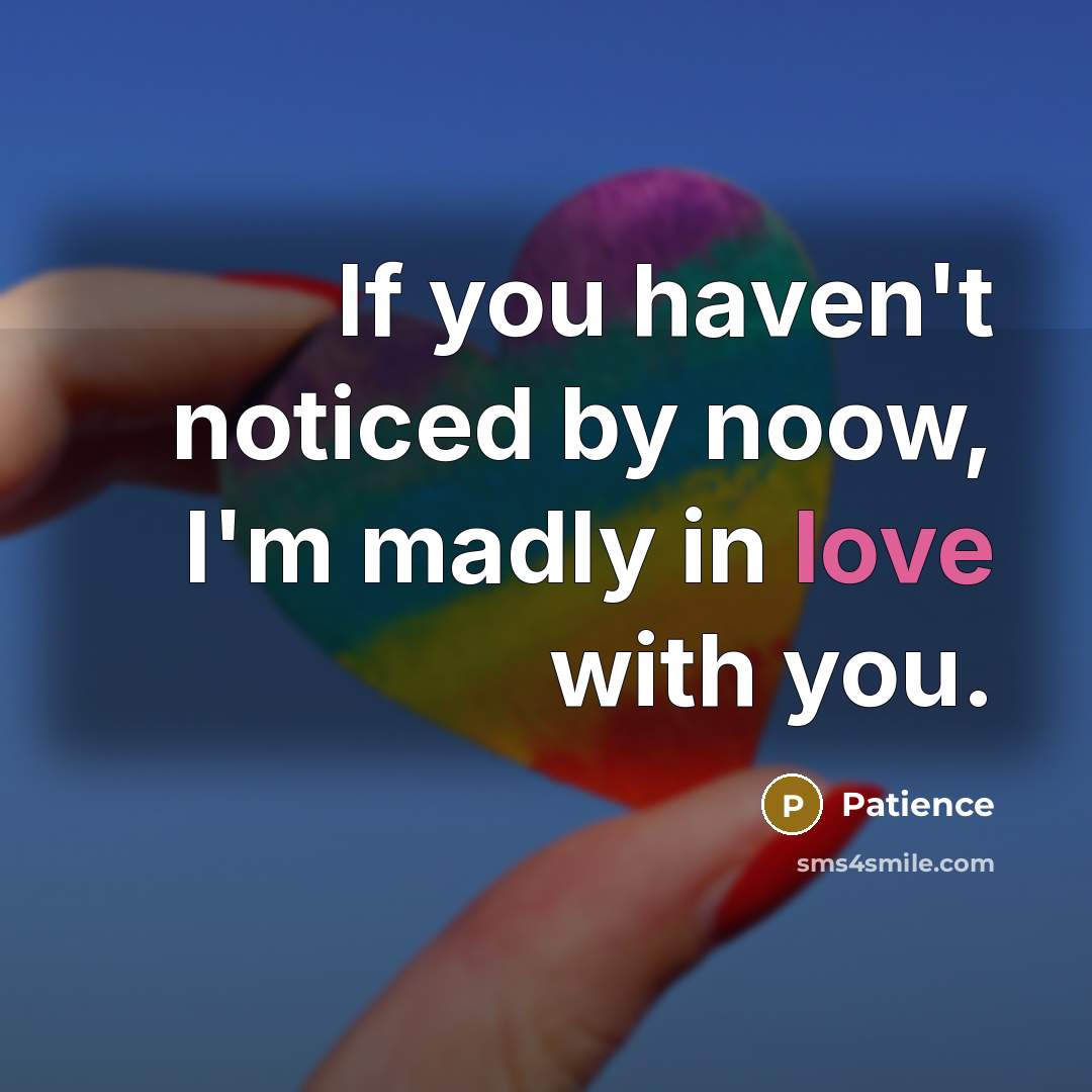 “If you haven't noticed by noow, I'm madly in love…” quote by Patience