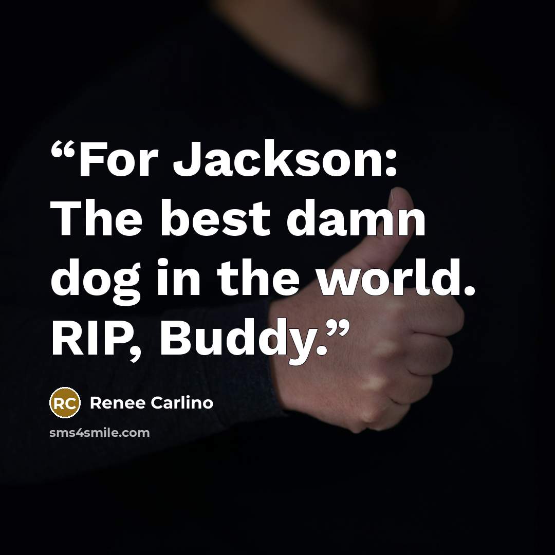 “For Jackson: The best damn dog in the world. RIP, Buddy.” quote by Renee Carlino