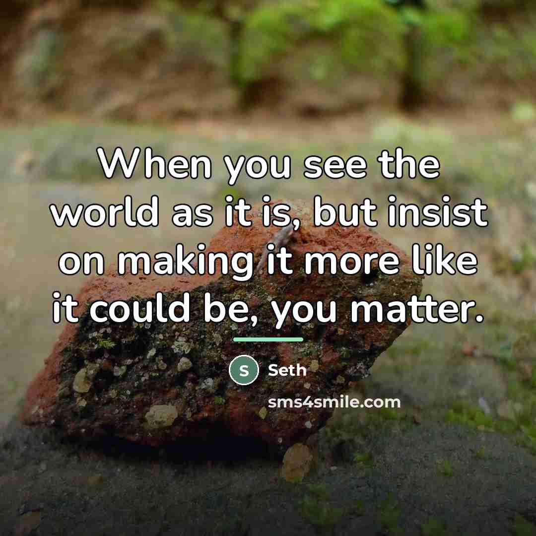 “When you see the world as it is, but insist…” quote by Seth