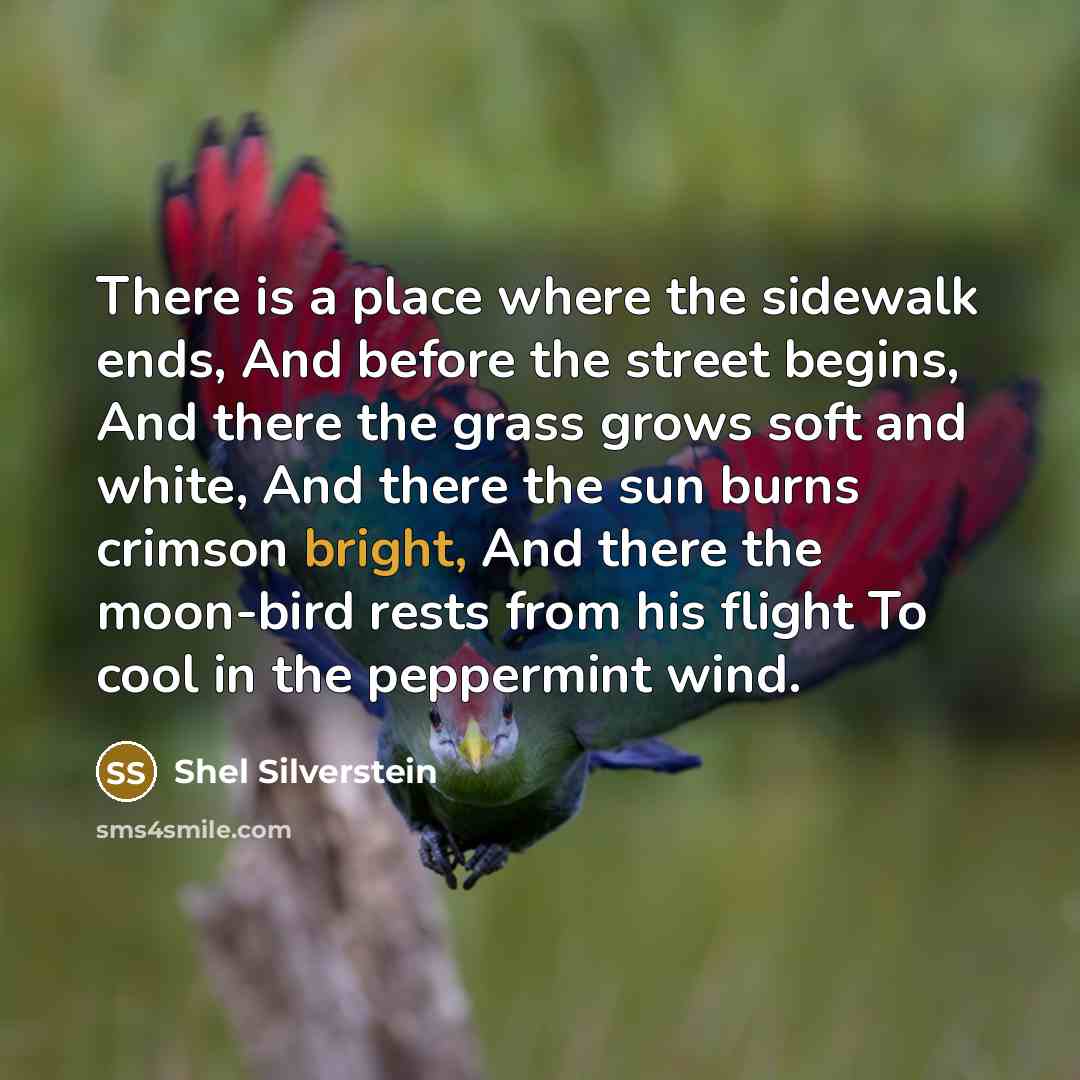 “There is a place where the sidewalk ends, And before…” quote by Shel Silverstein