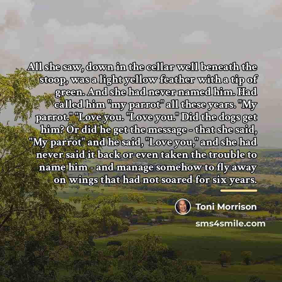 “All she saw, down in the cellar well beneath the…” quote by Toni Morrison