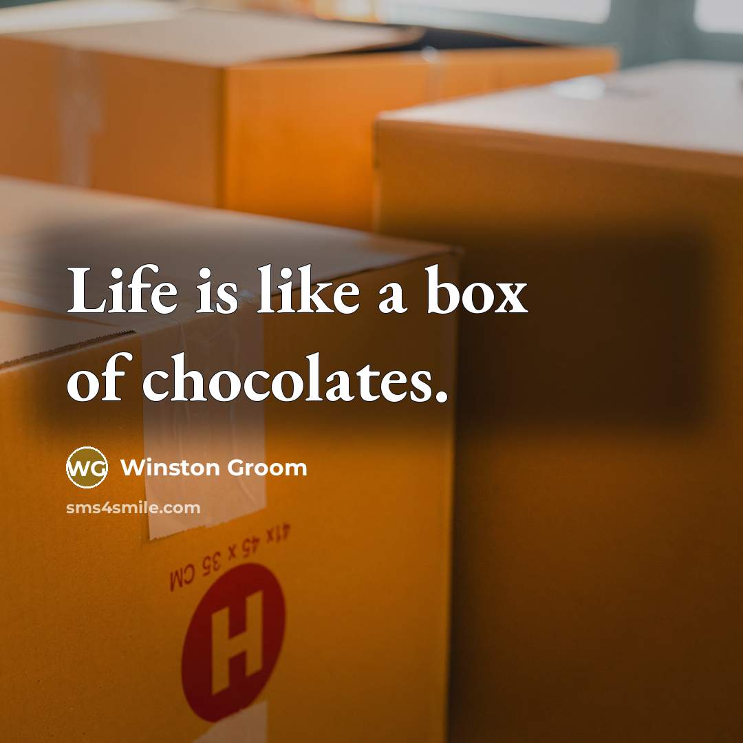 “Life is like a box of chocolates.…” quote by Winston Groom