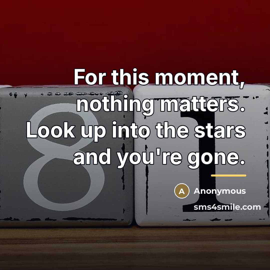 “For this moment, nothing matters. Look up into the stars…” quote by Anonymous
