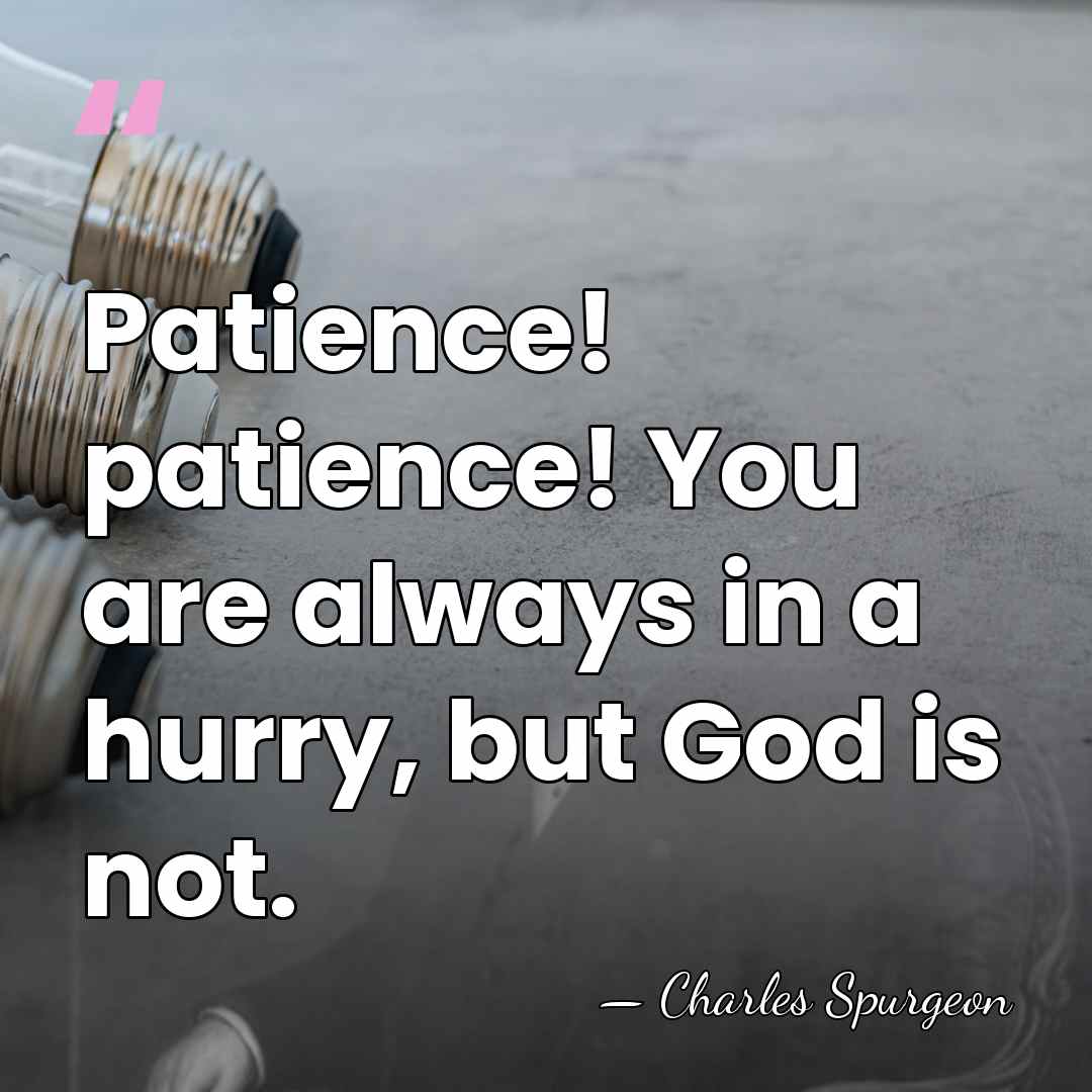 Patience! patience! You are always in a hurry, but God is not. - Charles Spurgeon