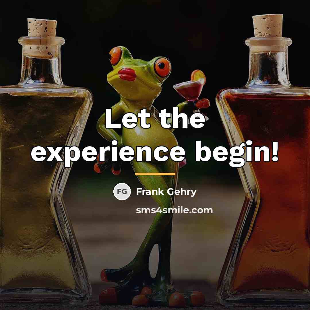 “Let the experience begin!…” quote by Frank Gehry