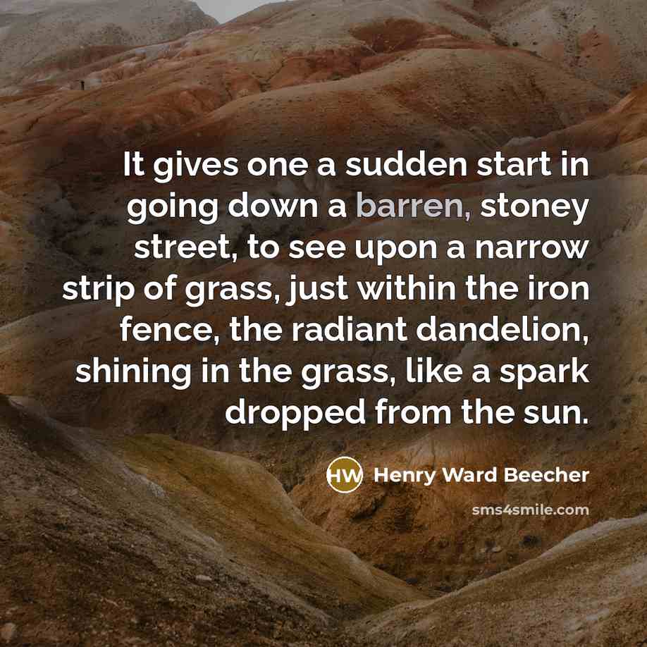 “It gives one a sudden start in going down a…” quote by Henry Ward Beecher