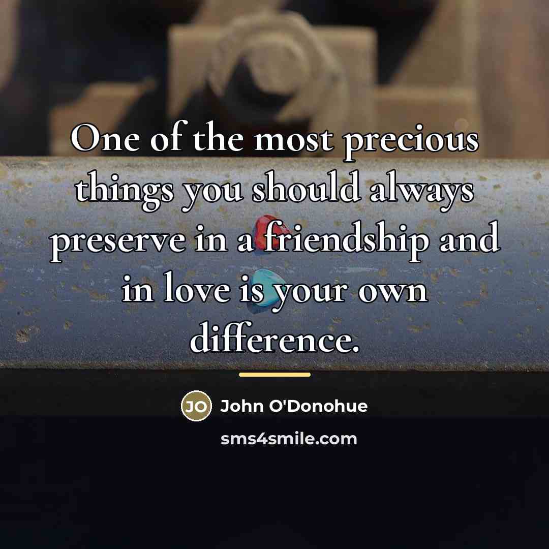 “One of the most precious things you should always preserve…” quote by John O'Donohue