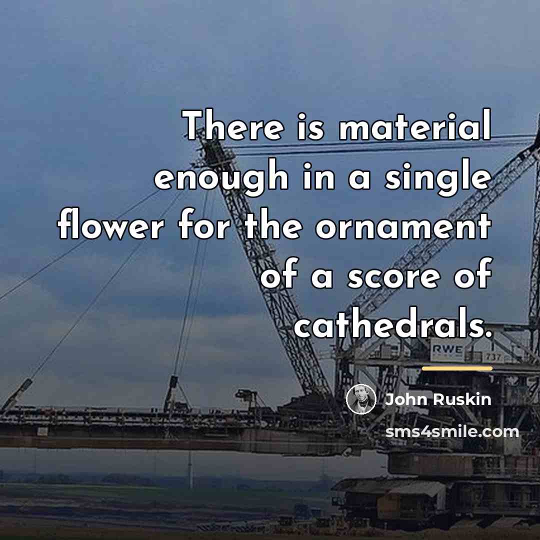 “There is material enough in a single flower for the…” quote by John Ruskin