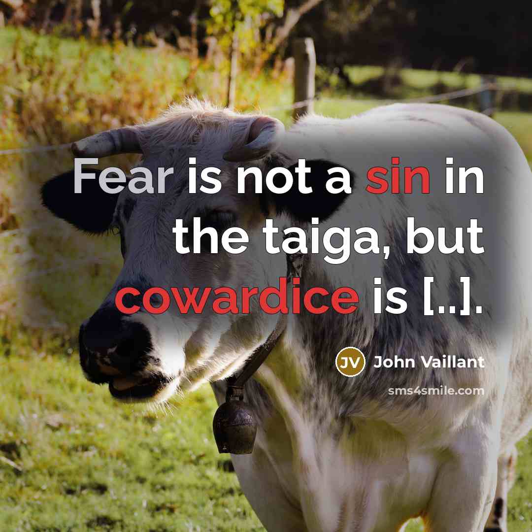 “Fear is not a sin in the taiga, but cowardice is [..].” quote by John Vaillant