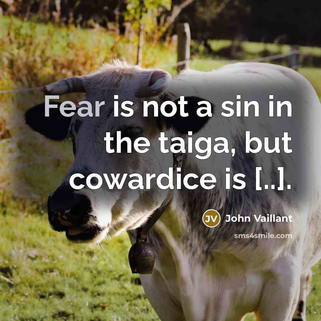 “Fear is not a sin in the taiga, but cowardice…” quote by John Vaillant