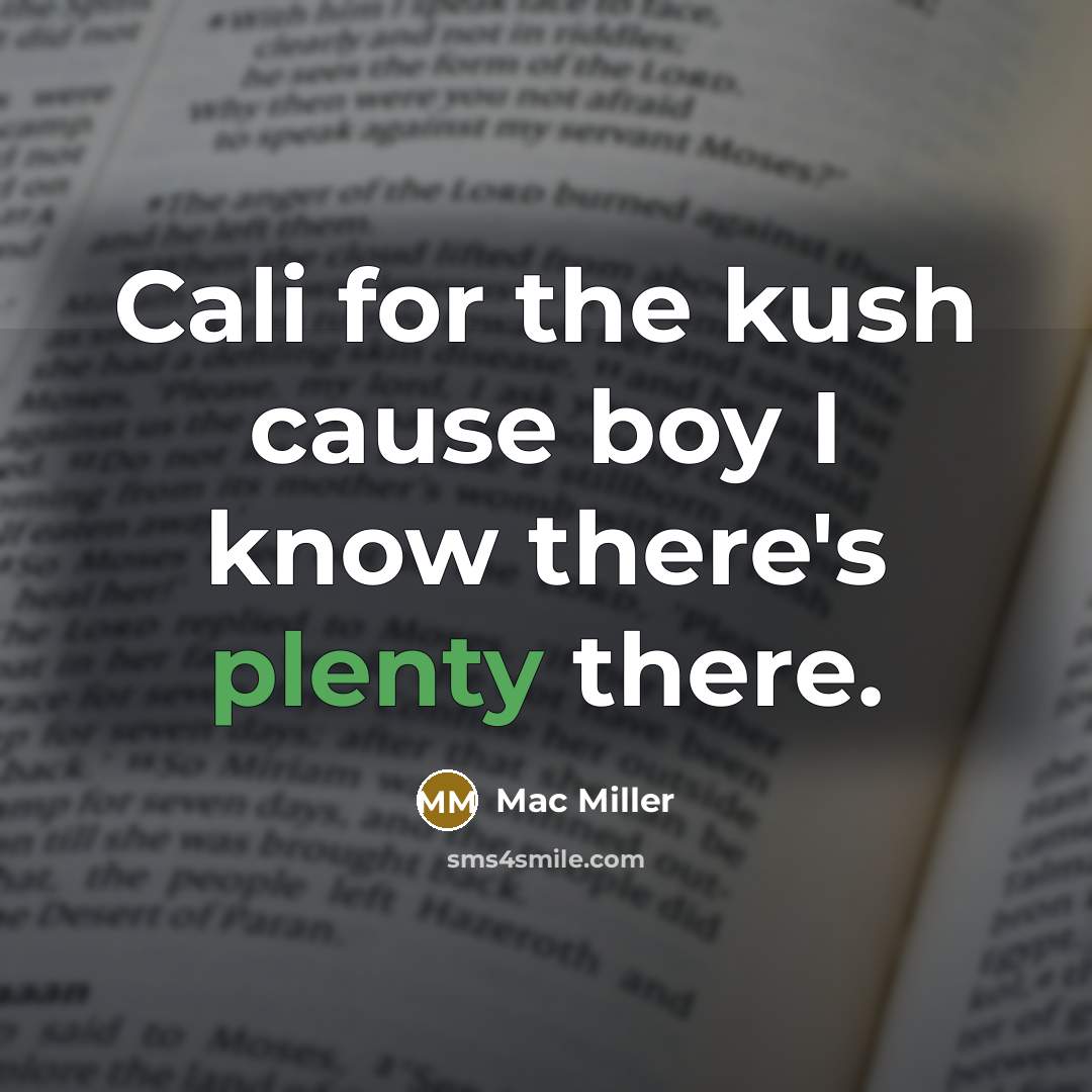 “Cali for the kush cause boy I know there's plenty…” quote by Mac Miller