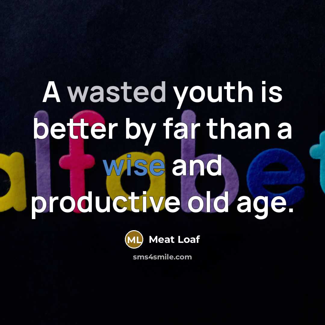 “A wasted youth is better by far than a wise…” quote by Meat Loaf