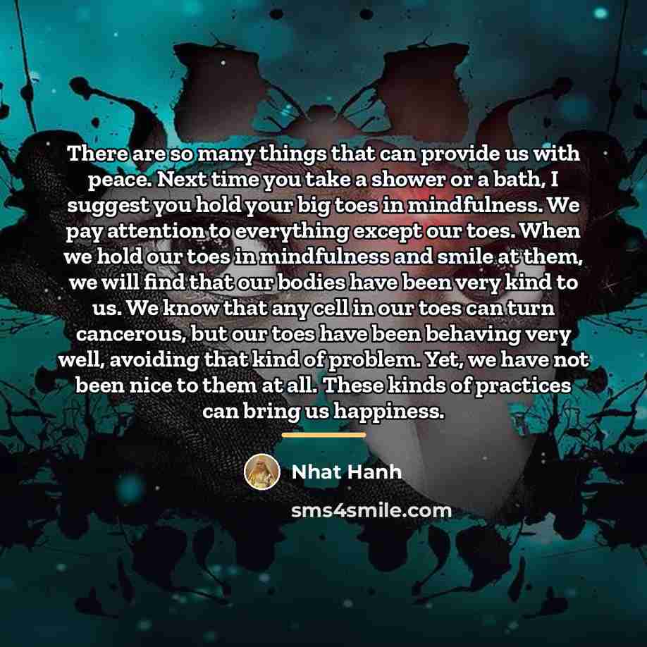 “There are so many things that can provide us with…” quote by Nhat Hanh