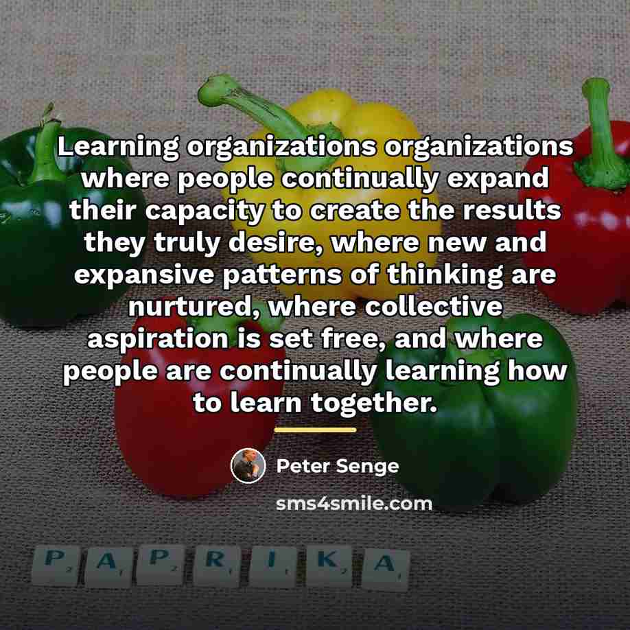 “Learning organizations organizations where people continually expand their capacity to…” quote by Peter Senge