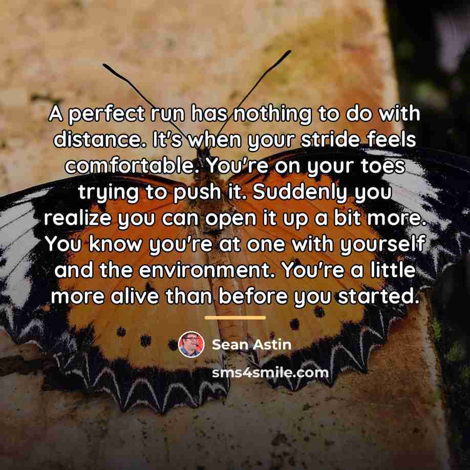 “A perfect run has nothing to do with distance. It's…” quote by Sean Astin