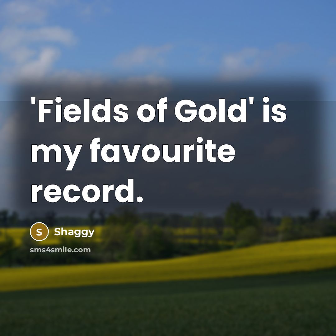 “'Fields of Gold' is my favourite record.…” quote by Shaggy