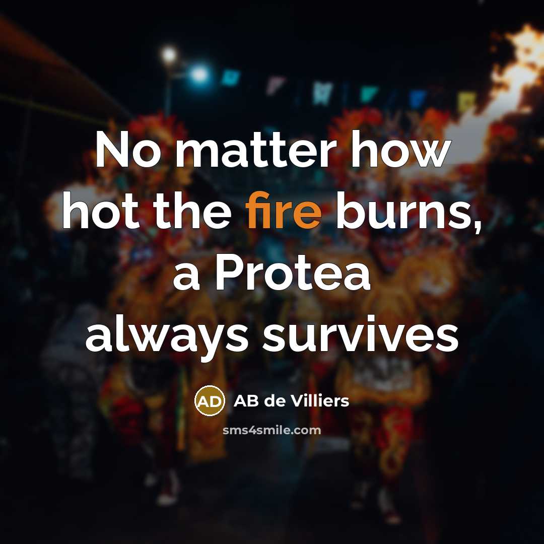 “No matter how hot the fire burns, a Protea always…” quote by AB de Villiers