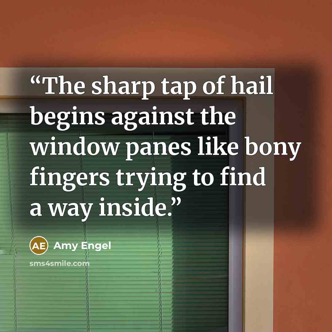 “The sharp tap of hail begins against the window panes like bony fingers trying to find a way inside.” quote by Amy Engel