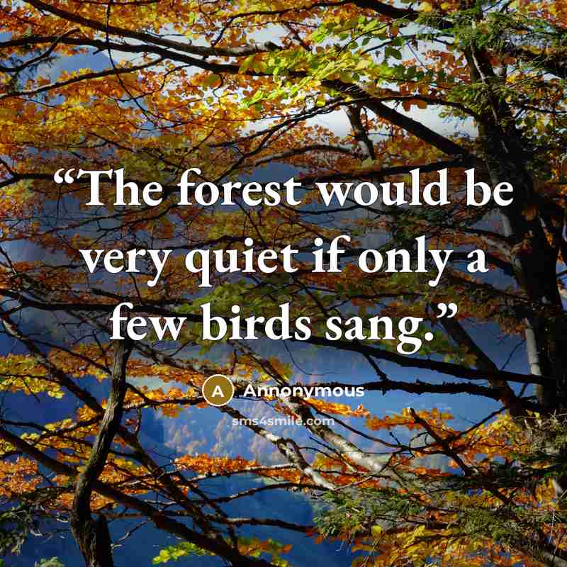“The forest would be very quiet if only a few birds sang.” quote by Annonymous