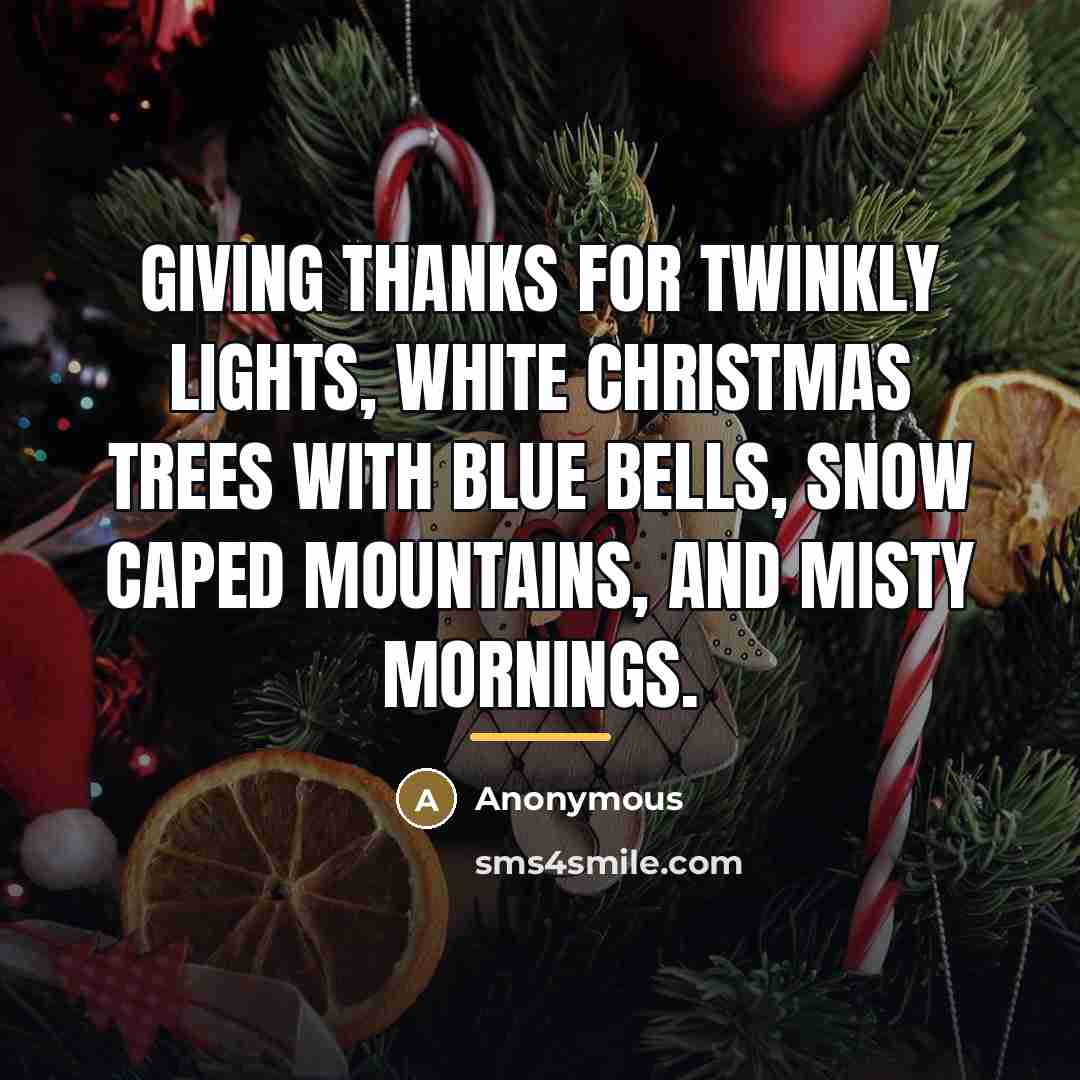 “Giving thanks for twinkly lights, white Christmas trees with blue…” quote by Anonymous