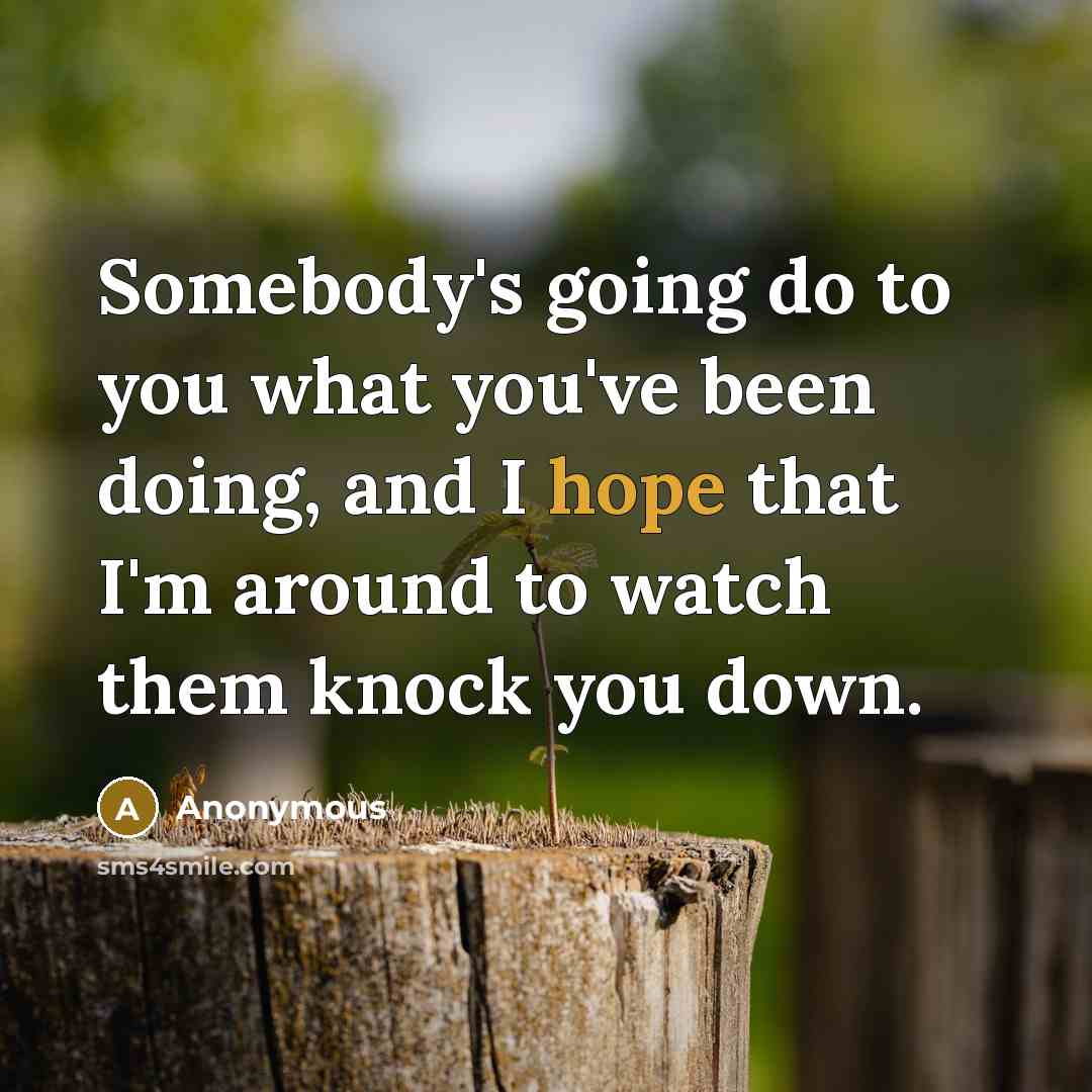 “Somebody's going do to you what you've been doing, and I hope that I'm around to watch them knock you down.” quote by Anonymous