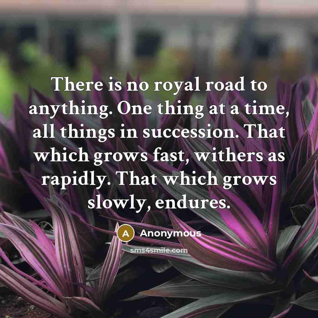 “There is no royal road to anything. One thing at…” quote by Anonymous