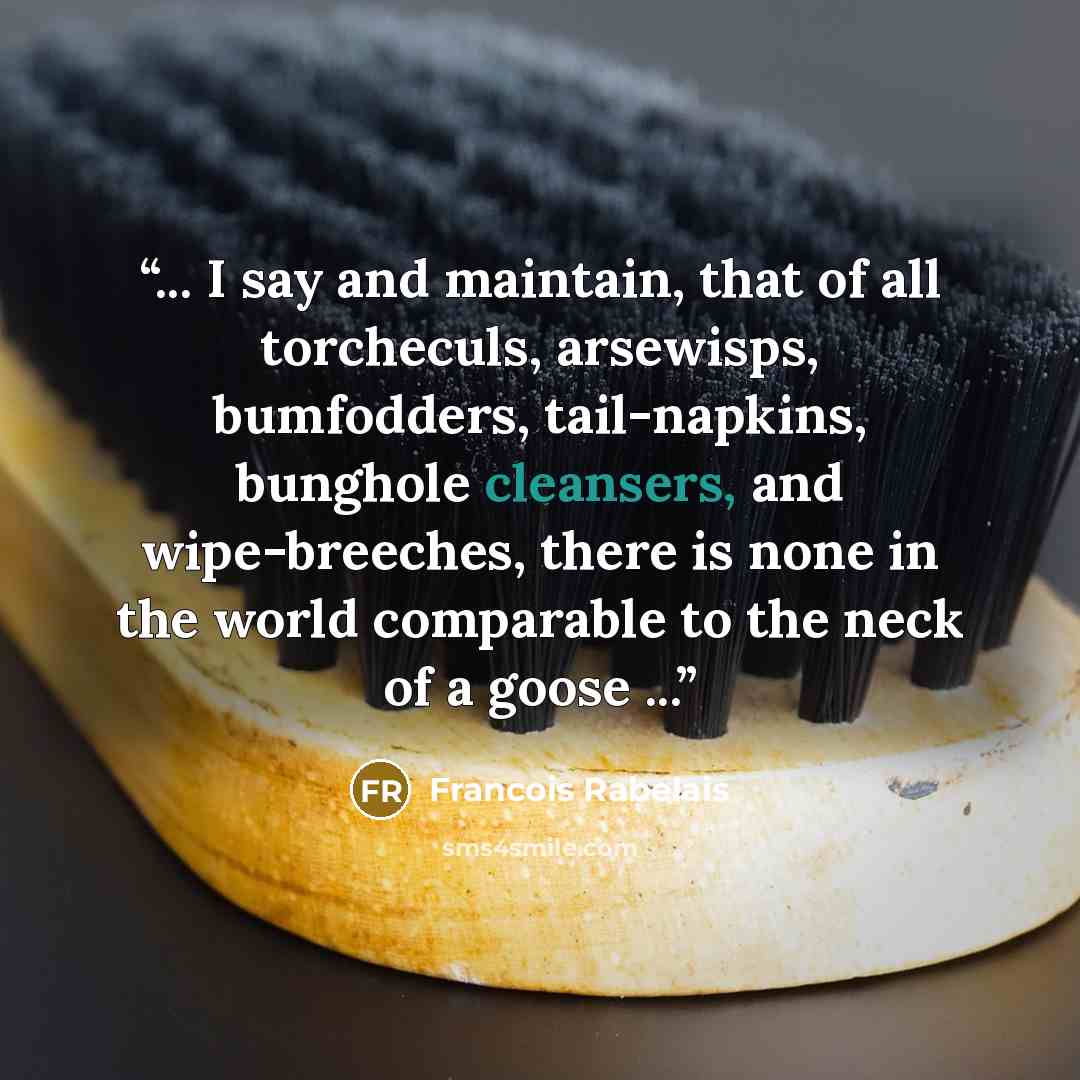 “... I say and maintain, that of all torcheculs, arsewisps, bumfodders, tail-napkins, bunghole cleansers, and wipe-breeches, there is none in the world comparable to the neck of a goose ...” quote by François Rabelais