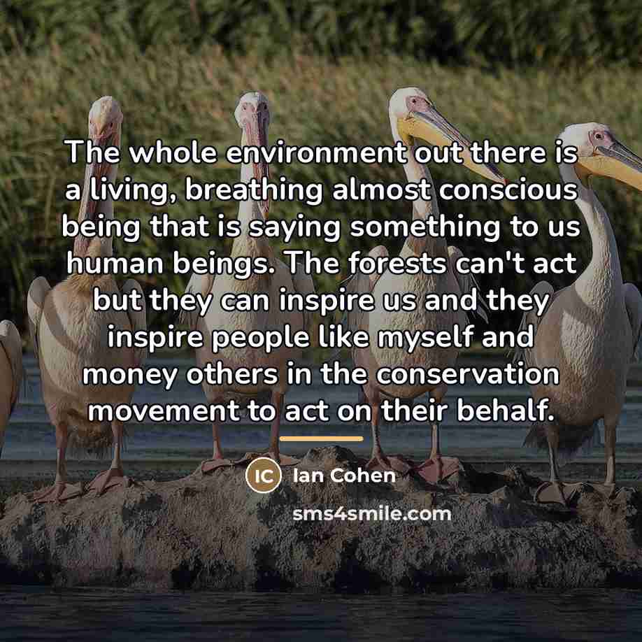 “The whole environment out there is a living, breathing almost…” quote by Ian Cohen