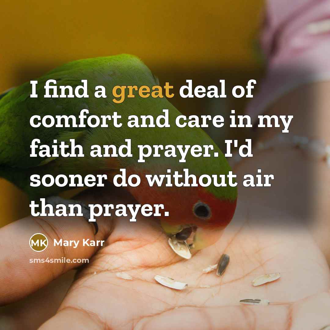 “I find a great deal of comfort and care in…” quote by Mary Karr