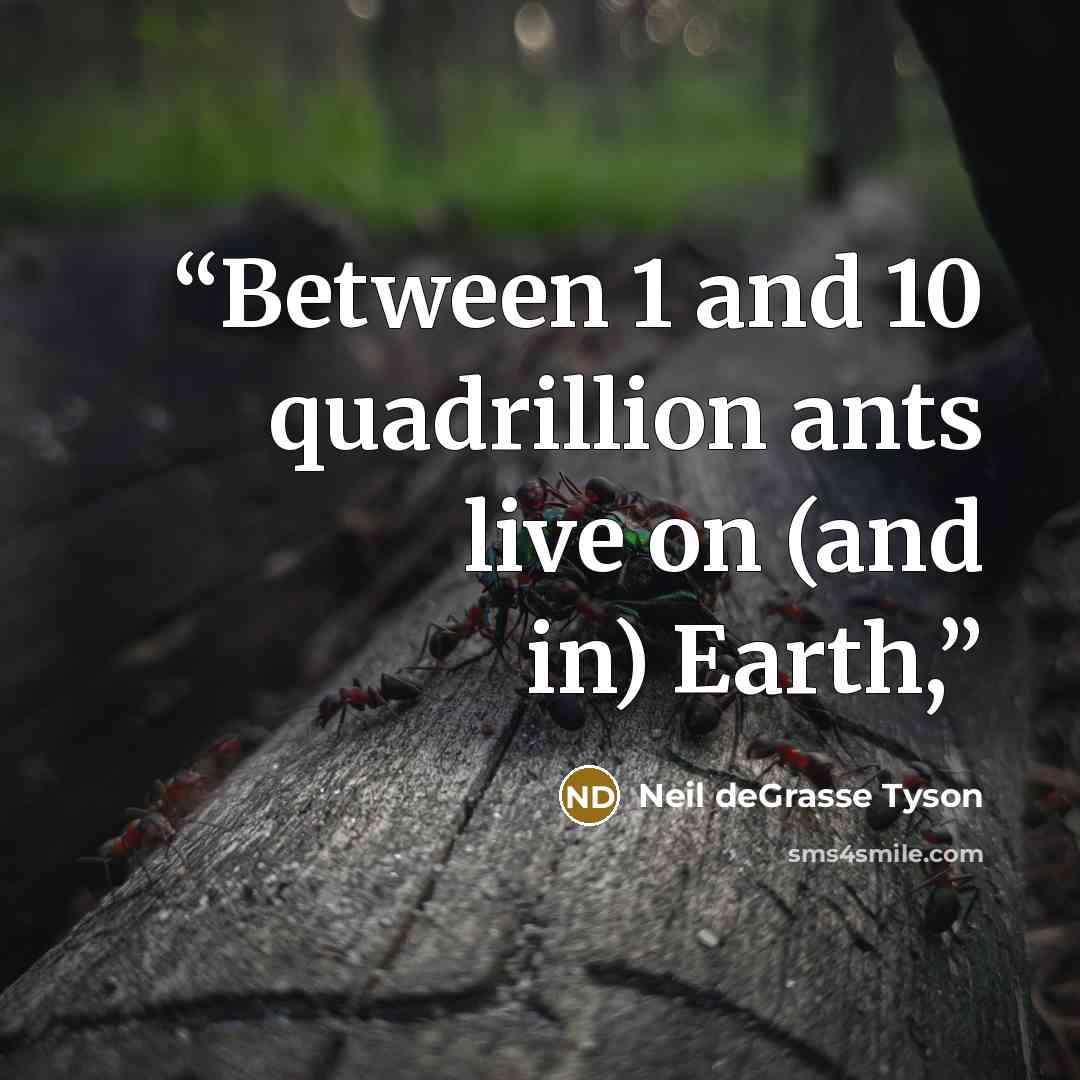 “Between 1 and 10 quadrillion ants live on (and in) Earth,” quote by Neil deGrasse Tyson
