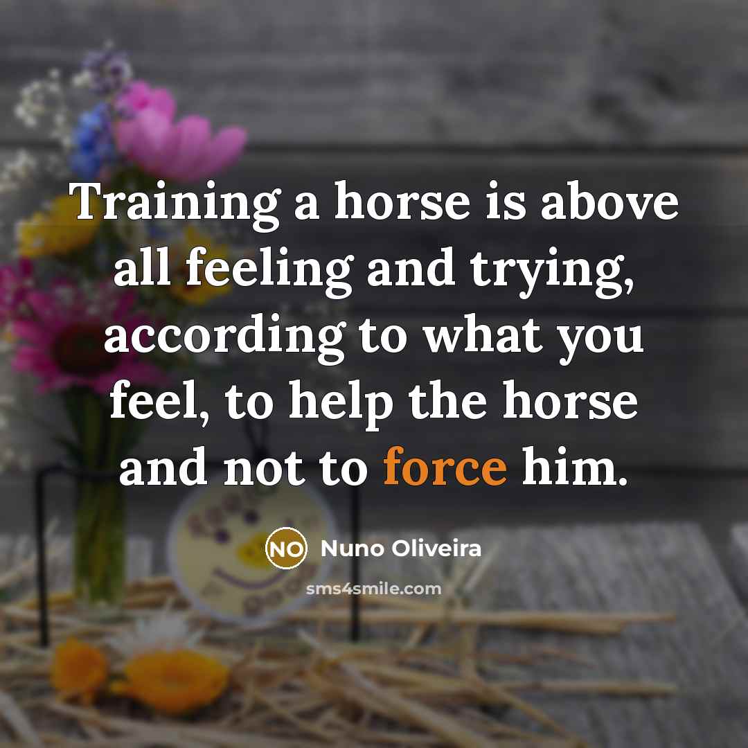 “Training a horse is above all feeling and trying, according…” quote by Nuno Oliveira