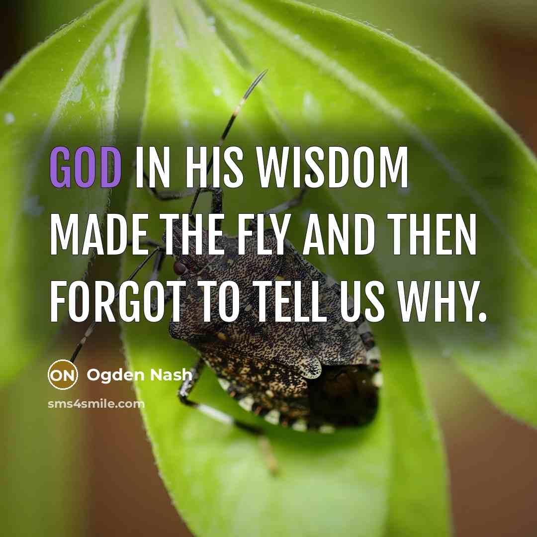 “God in His wisdom made the fly And then forgot…” quote by Ogden Nash