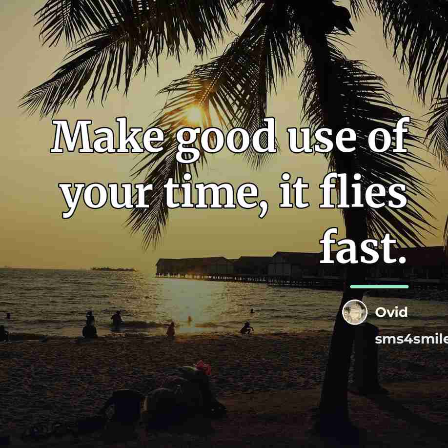 “Make good use of your time, it flies fast.…” quote by Ovid