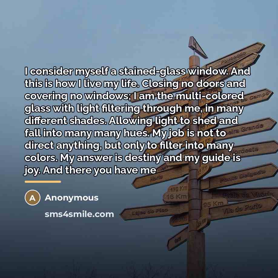 “I consider myself a stained-glass window. And this is how…” quote by Anonymous