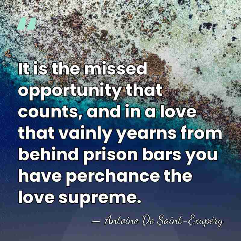 It is the missed opportunity that counts, and in a love that&hellip; - Antoine de Saint-Exupery