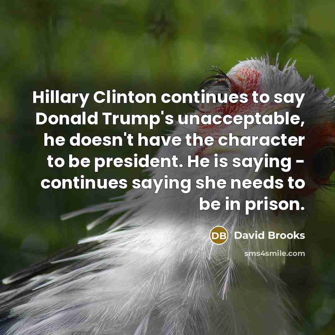 “Hillary Clinton continues to say Donald Trump's unacceptable, he doesn't…” quote by David Brooks