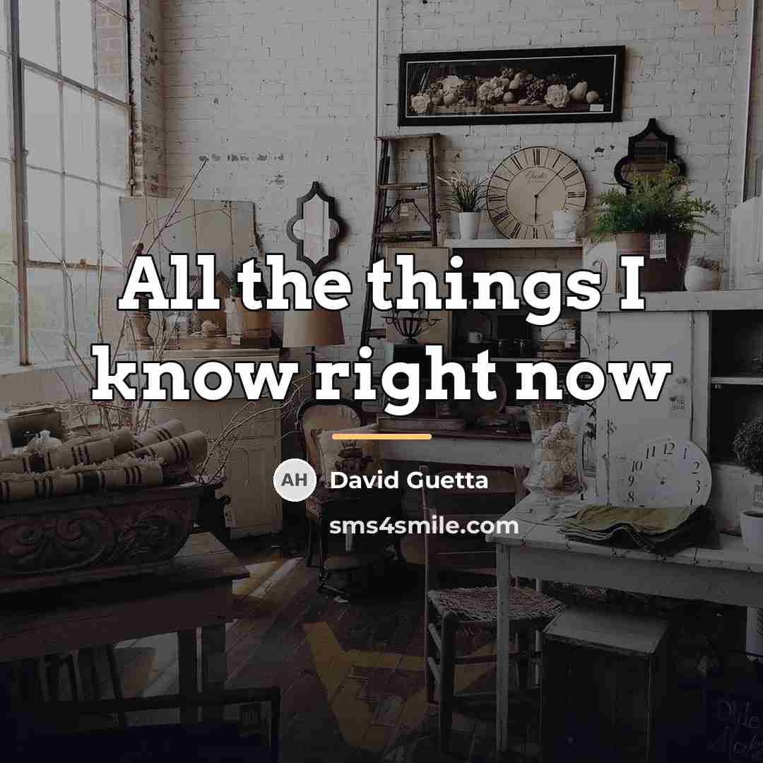 “All the things I know right now…” quote by David Guetta