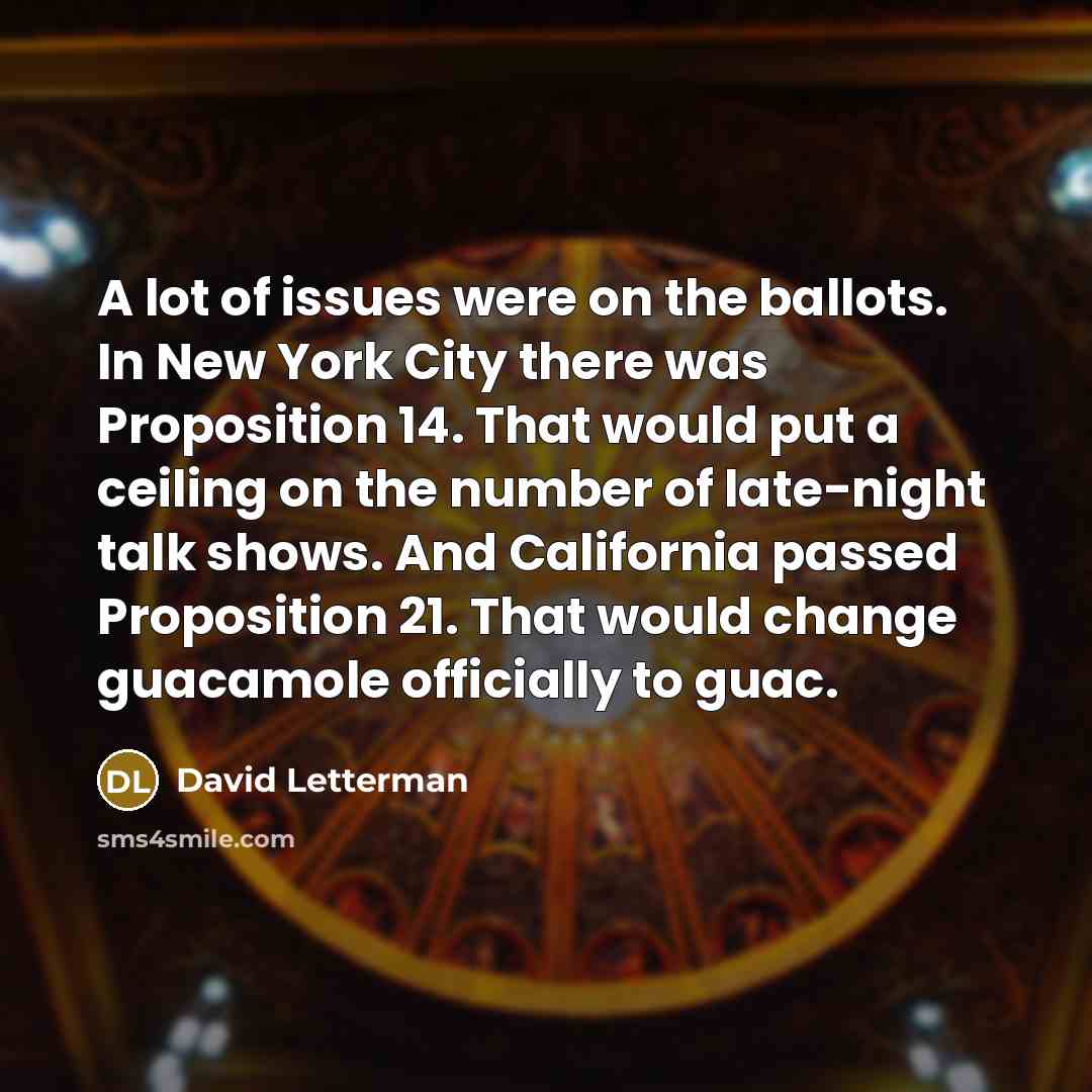 “A lot of issues were on the ballots. In New…” quote by David Letterman