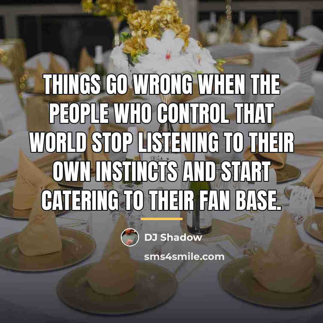 “Things go wrong when the people who control that world…” quote by DJ Shadow