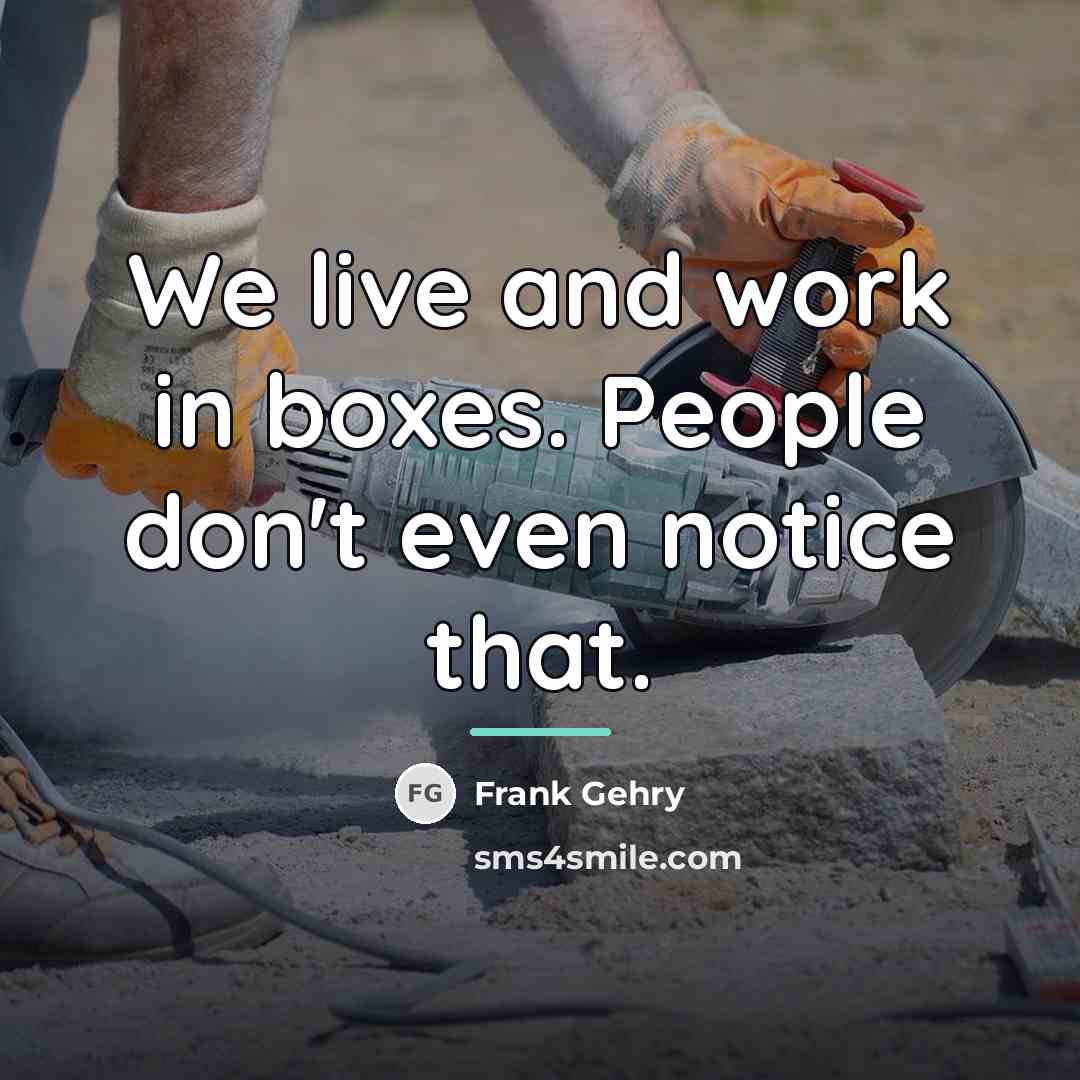 “We live and work in boxes. People don't even notice…” quote by Frank Gehry