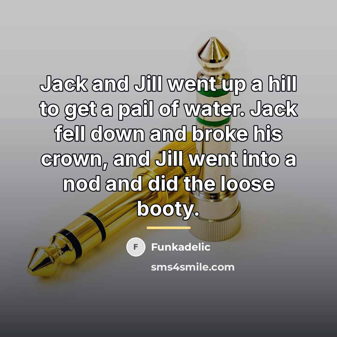 “Jack and Jill went up a hill to get a…” quote by Funkadelic