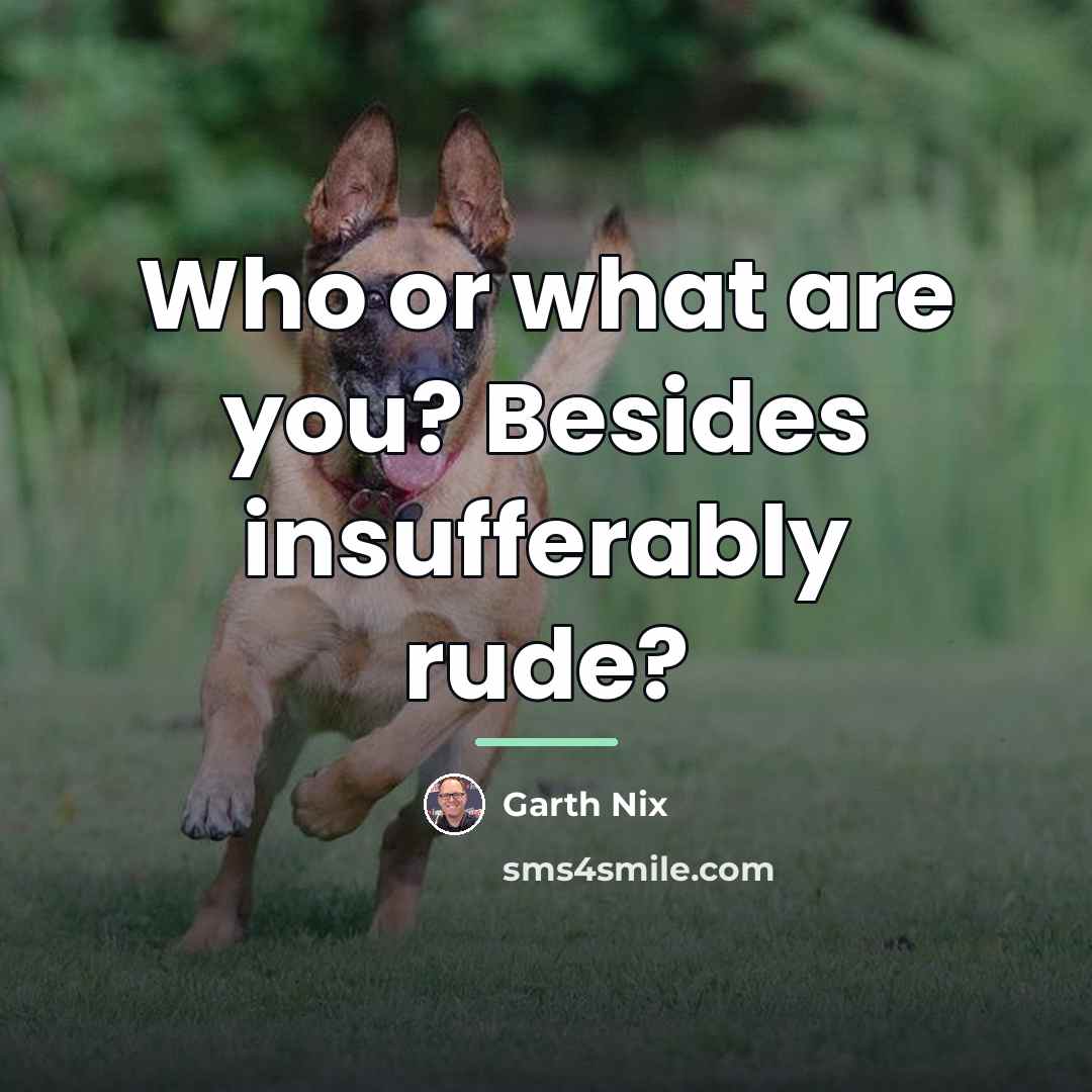 “Who or what are you? Besides insufferably rude?…” quote by Garth Nix