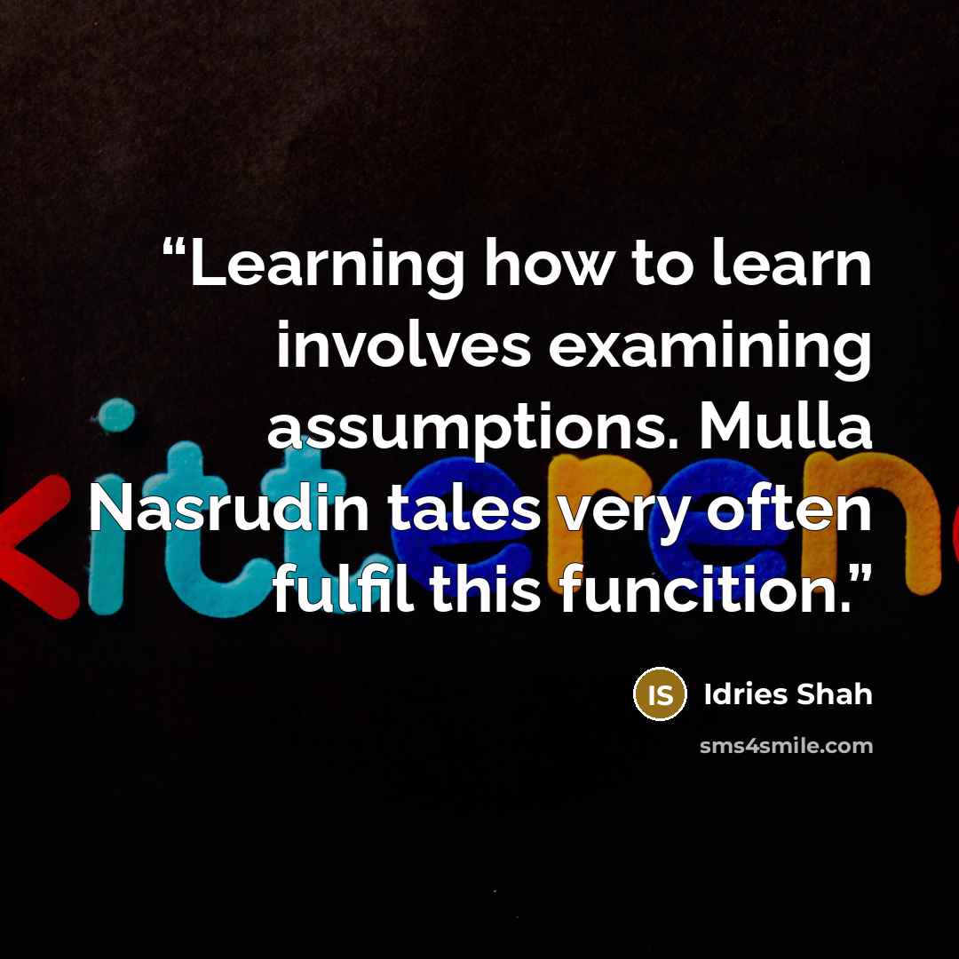 “Learning how to learn involves examining assumptions. Mulla Nasrudin tales very often fulfil this funcition.” quote by Idries Shah