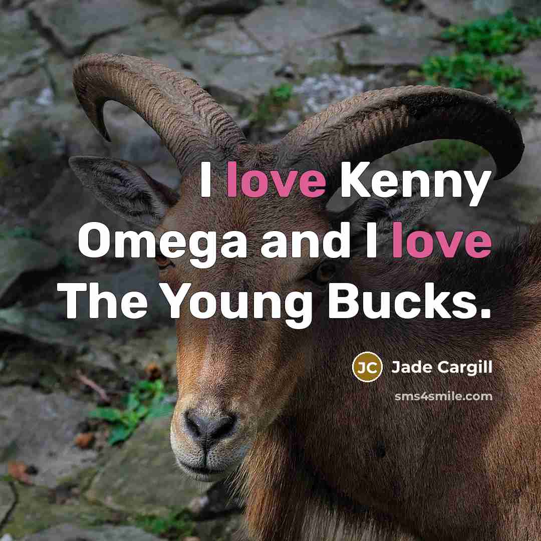 “I love Kenny Omega and I love The Young Bucks.…” quote by Jade Cargill