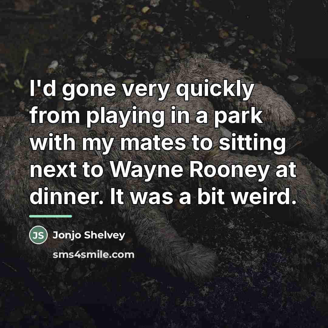 “I'd gone very quickly from playing in a park with…” quote by Jonjo Shelvey