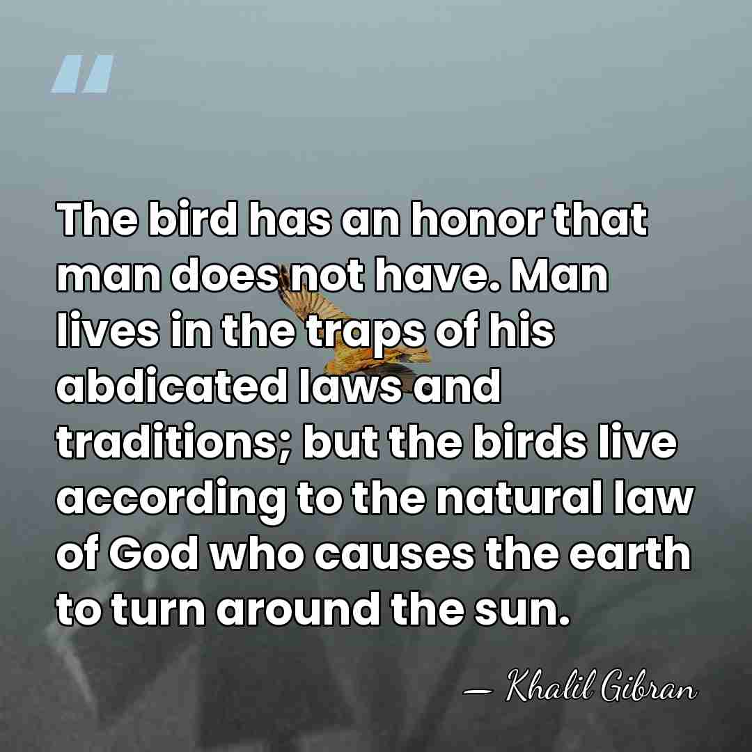The bird has an honor that man does not have. Man lives&hellip; - Khalil Gibran