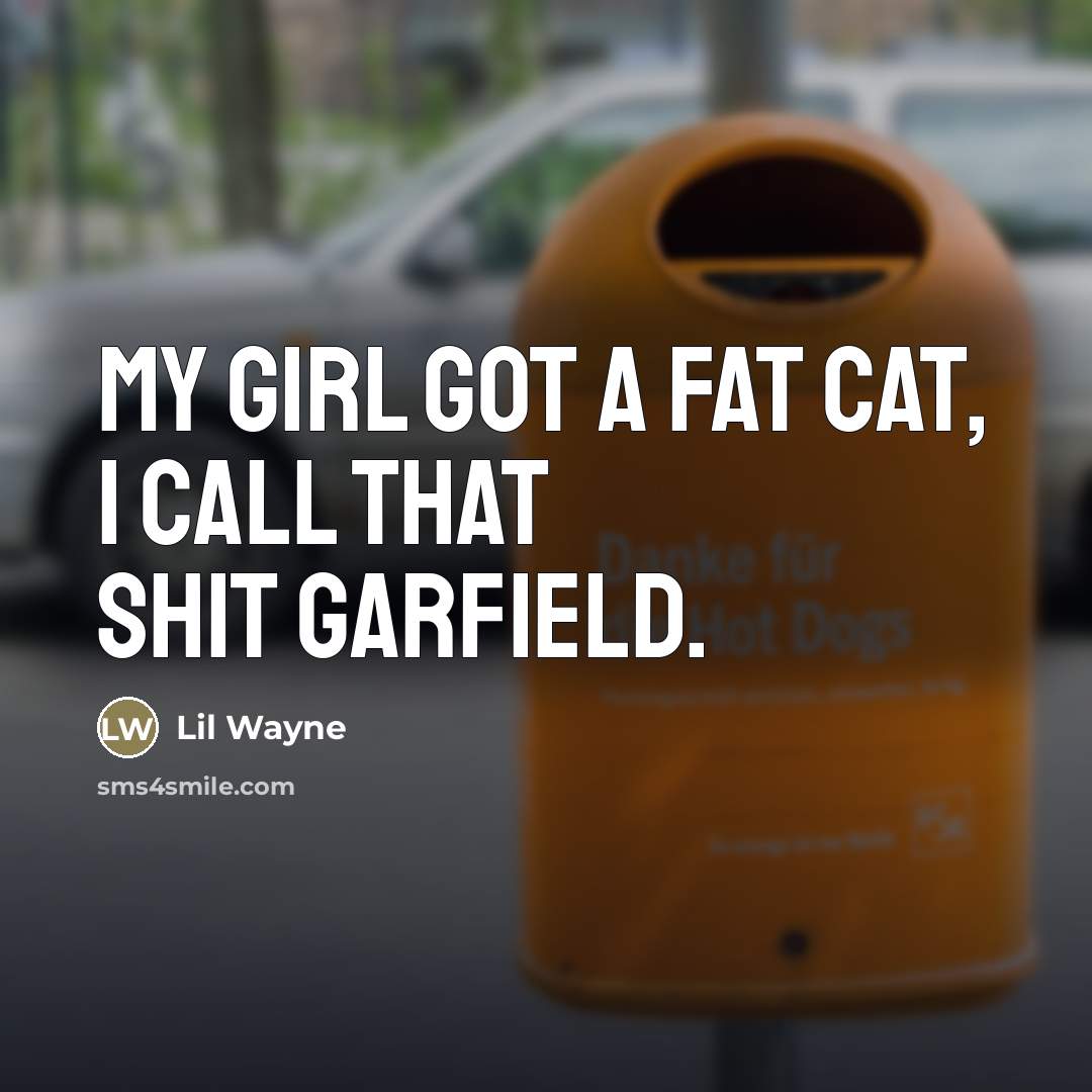“My girl got a fat cat, I call that shit…” quote by Lil Wayne