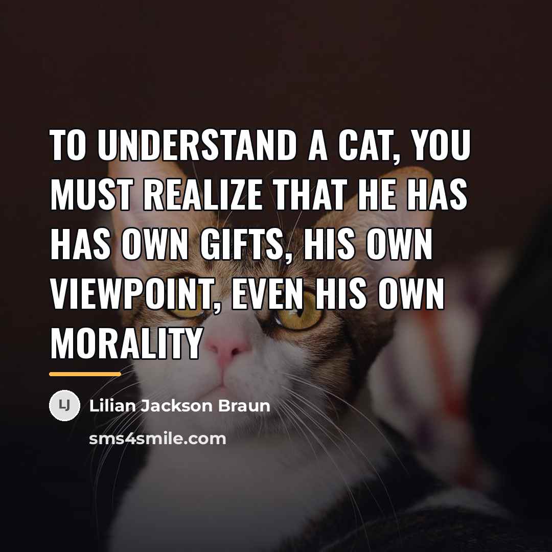 “To understand a cat, you must realize that he has…” quote by Lilian Jackson Braun