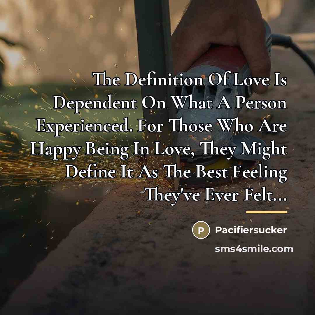 “The Definition Of Love Is Dependent On What A Person…” quote by Pacifiersucker