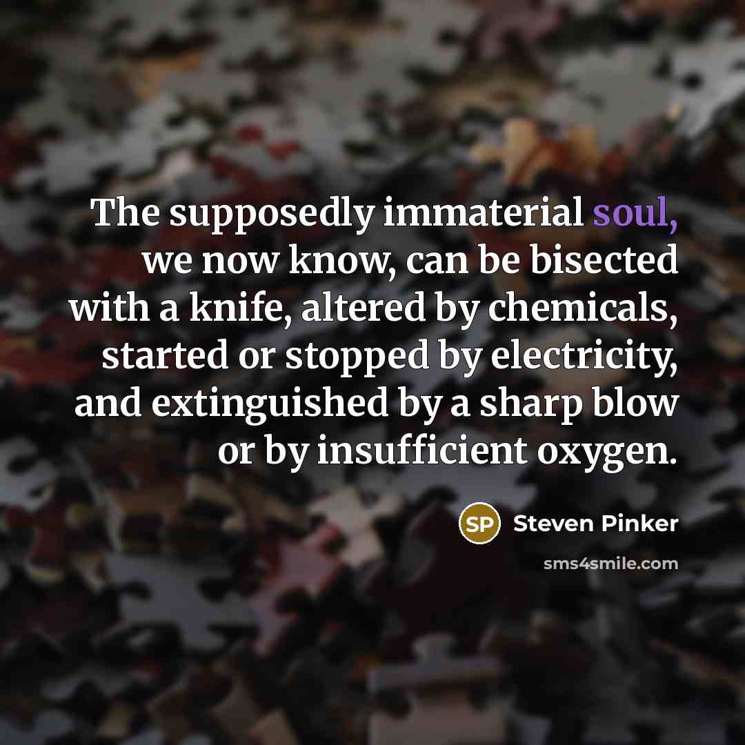 “The supposedly immaterial soul, we now know, can be bisected…” quote by Steven Pinker
